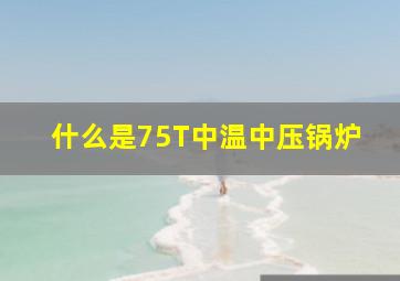 什么是75T中温中压锅炉