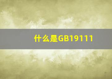 什么是GB19111(