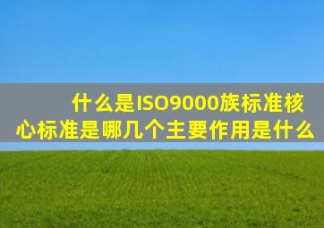 什么是ISO9000族标准核心标准是哪几个主要作用是什么