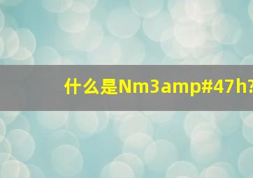 什么是Nm3/h?