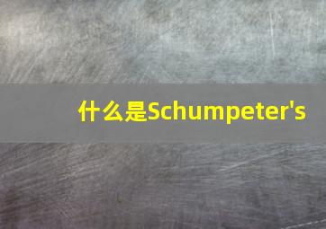 什么是Schumpeter's