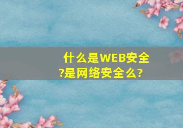 什么是WEB安全?是网络安全么?