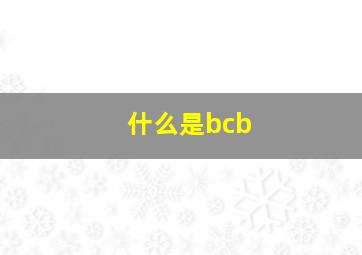 什么是bcb