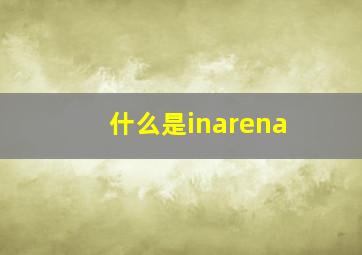 什么是inarena