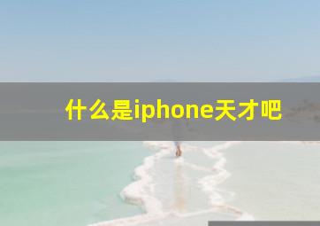 什么是iphone天才吧