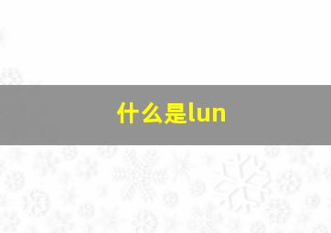 什么是lun