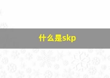 什么是skp