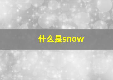 什么是snow