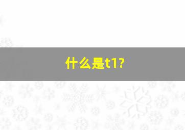 什么是t1?