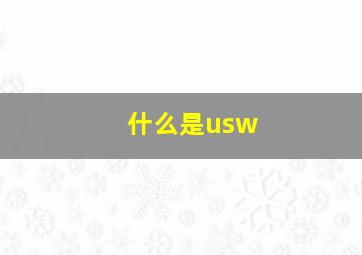 什么是usw