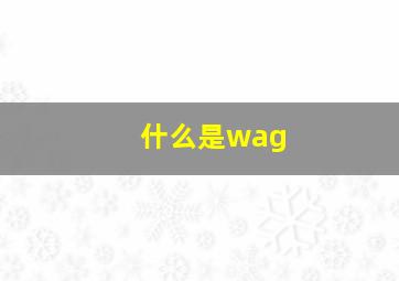 什么是wag