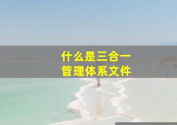 什么是三合一管理体系文件