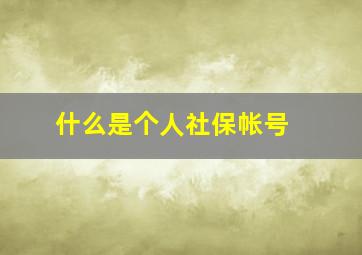 什么是个人社保帐号 