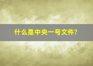 什么是中央一号文件?