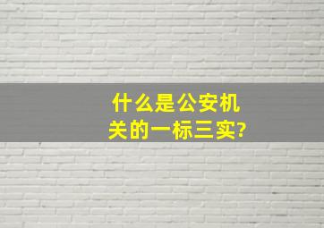 什么是公安机关的一标三实?