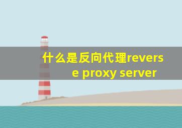 什么是反向代理(reverse proxy server)