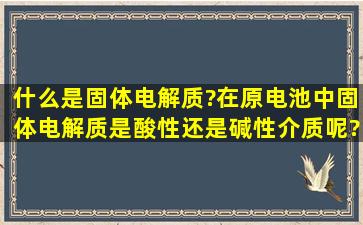 什么是固体电解质?在原电池中固体电解质是酸性还是碱性介质呢?