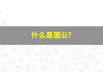 什么是国公?