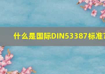 什么是国际DIN53387标准?