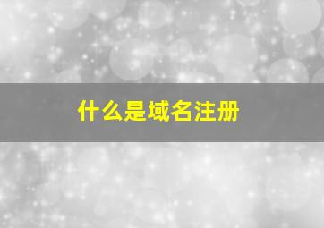 什么是域名注册