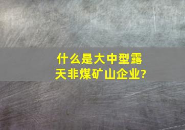 什么是大中型露天非煤矿山企业?