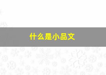 什么是小品文