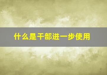 什么是干部进一步使用