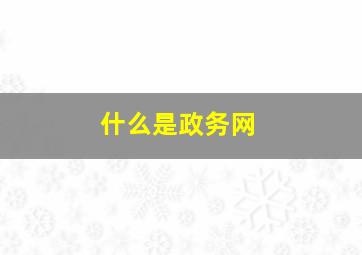 什么是政务网