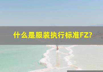 什么是服装执行标准FZ?