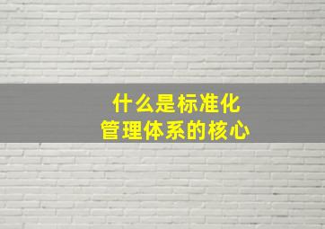 什么是标准化管理体系的核心