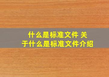 什么是标准文件 关于什么是标准文件介绍