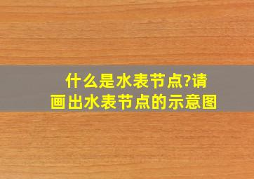 什么是水表节点?请画出水表节点的示意图