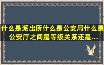 什么是派出所什么是公安局什么是公安厅之间是等级关系还是...