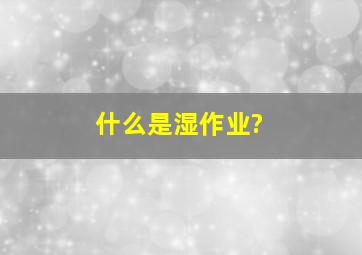 什么是湿作业?