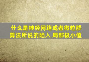 什么是神经网络或者微粒群算法所说的陷入 局部极小值