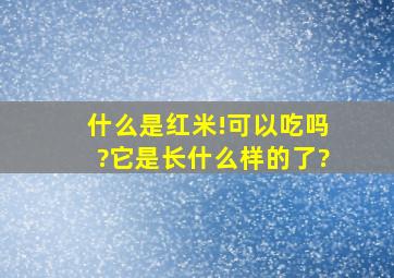 什么是红米!可以吃吗?它是长什么样的了?