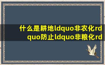 什么是耕地“非农化”、防止“非粮化”?