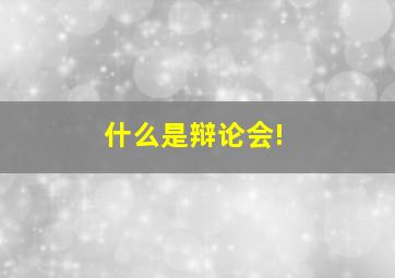 什么是辩论会!