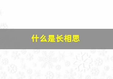 什么是长相思