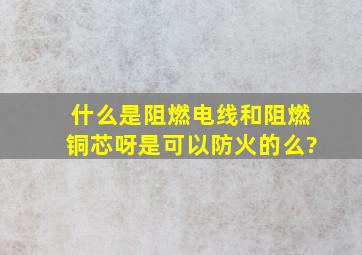 什么是阻燃电线和阻燃铜芯呀,是可以防火的么?