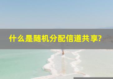 什么是随机分配信道共享?