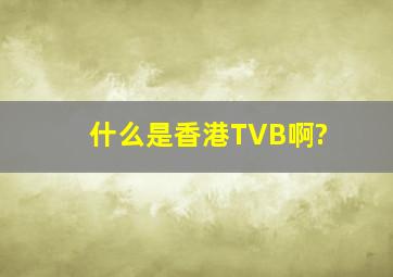 什么是香港TVB啊?