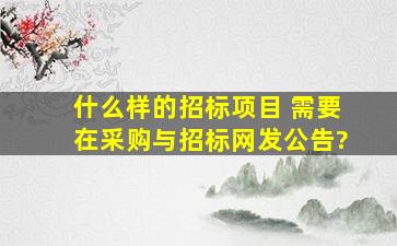 什么样的招标项目 需要在采购与招标网发公告?