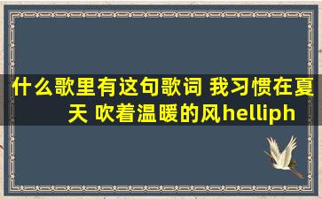 什么歌里有这句歌词 我习惯在夏天 吹着温暖的风……