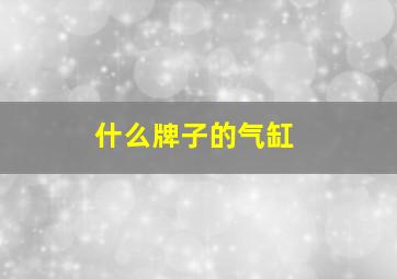 什么牌子的气缸