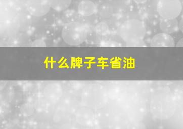 什么牌子车省油