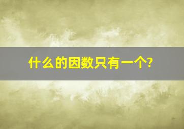 什么的因数只有一个?