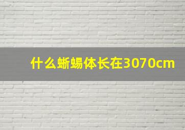 什么蜥蜴体长在3070cm