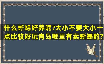 什么蜥蜴好养呢?大小不要大,小一点比较好玩,青岛哪里有卖蜥蜴的?