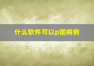 什么软件可以p图病例